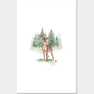 Winter deer in snowy forest Posters and Art